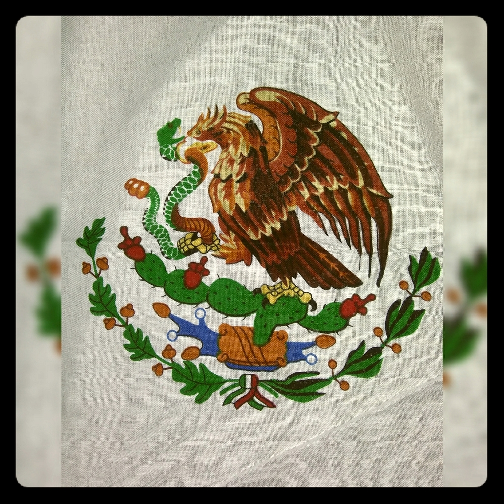 Brand New!  Mexican Flag Bandanas!